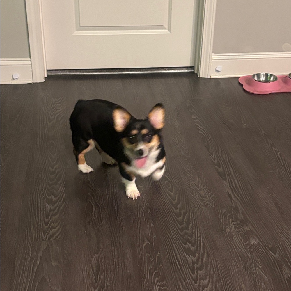 Meet your Posher, Draven